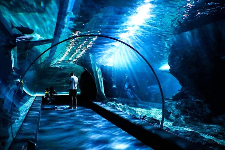 Best Hotels in Melbourne near SEA LIFE Melbourne Aquarium