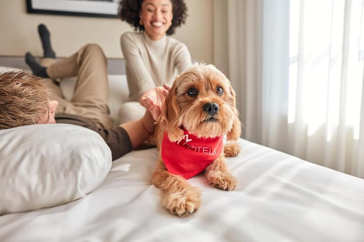 15 Best Pet-Friendly Hotels near Opryland Nashville